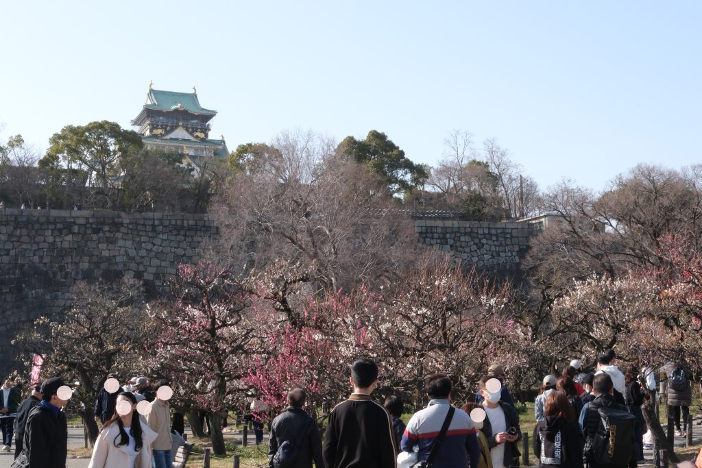 梅林から見上げた大阪城